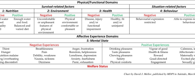 Five domains chart