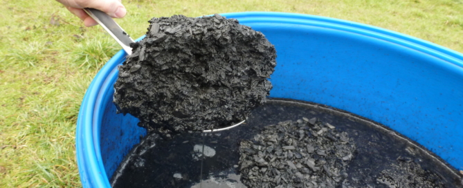 Evaluating one of the biochar covers after 12 weeks on the manure surfac...