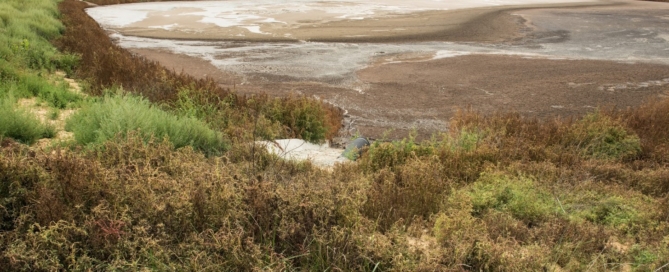 Typical manure storage 1