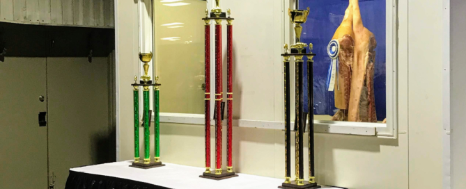 HD-trophy-case-1