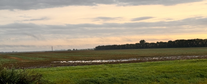 crops - tilled water great