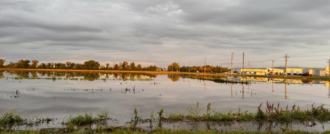 crops - water winkler best